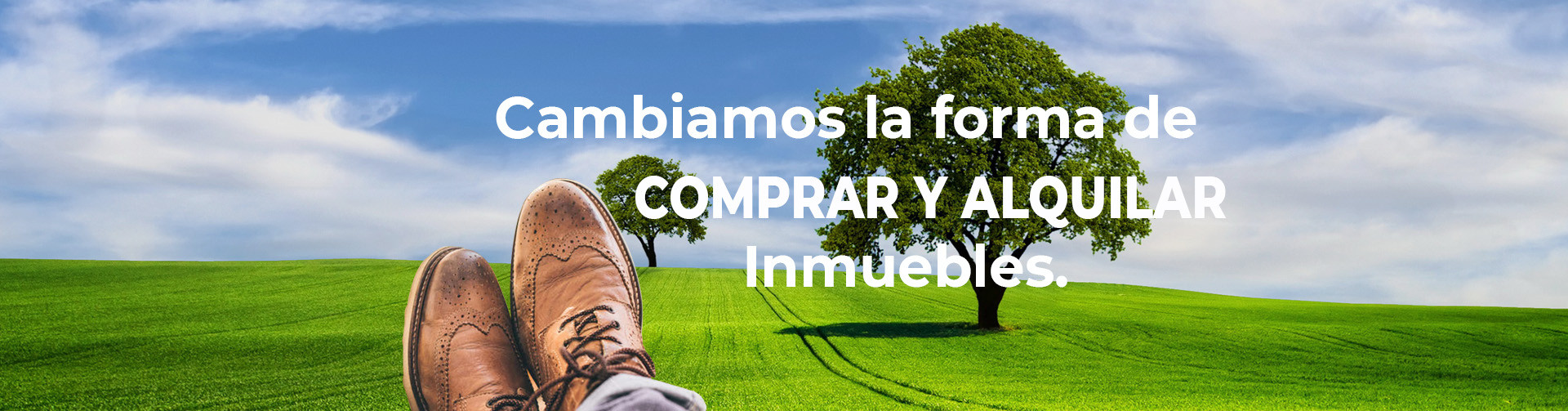 el terreno perfecto